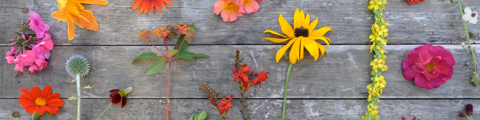 Geniet van het pure leven